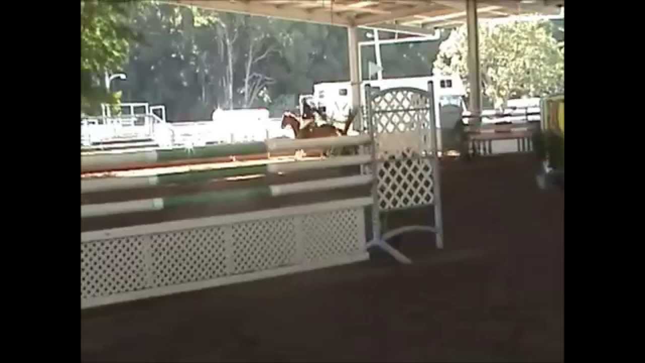 Classic Mischief Nambour May 1.35m YouTube