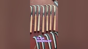 QUẮM CÁN MUN CÁN XOAN ĐỎ, CHUẨN THÉP NHÍP CHẤT LƯỢNG