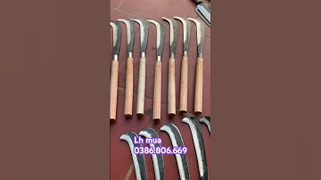 QUẮM CÁN MUN CÁN XOAN ĐỎ, CHUẨN THÉP NHÍP CHẤT LƯỢNG