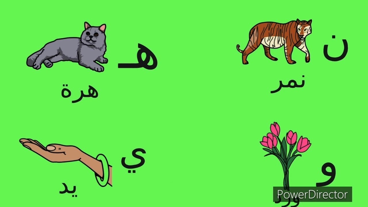الحروف العربية من ( أ الي ي ) مع كلمات و امثلة @carameltv7945 #تعلم # ...