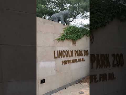 Video: Lincoln Parkin eläintarhan vierailijaopas