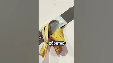 Съел банан за $120 000, а он оказался экспонатом музея