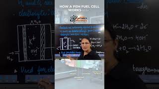 Mastering the PEM Fuel Cell: Eco-Friendly Energy Explained