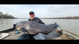 102 Pound Blue Catfish Tennessee River