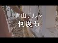 何度も/青山テルマ 歌ってみた