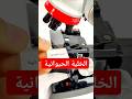 الخلية الحيوانية تحت الميكروسكوب العاب اكسبلور اطفال تعليم الاطفال
