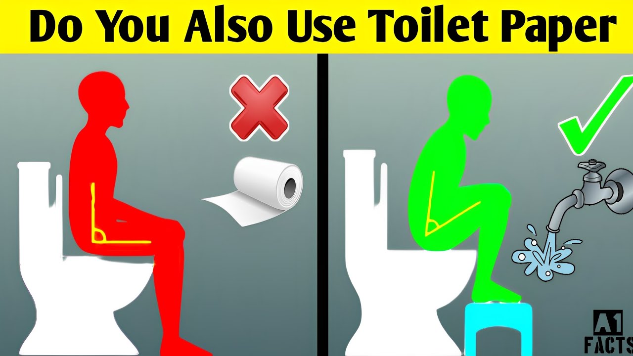 Do You Also Use Toilet Paper Everyday Intresting Facts About Toilet