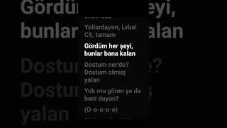 Sevmiş Gibi - Levbalc5 & Eftalya Bağcı