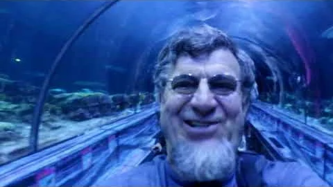 Bruce Allyson & MBLs Sea World Spring Break Advent...