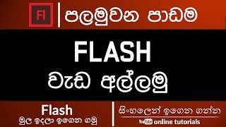 Adobe Flash Beginner Course (Sinhala) - Part 01- Getting Started screenshot 3