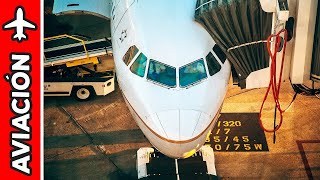 EXPERIENCIA DE VUELO con American Airlines | ✈️ CapiTienda