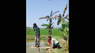 #new #vairalvideo কি আজব বেপার 2024