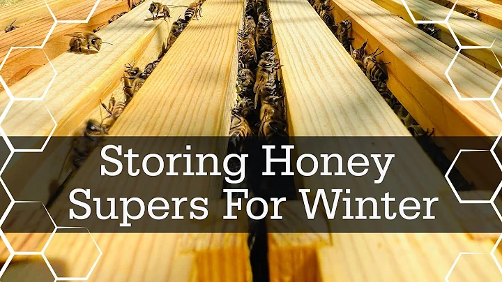 How to store honey super frames over winter