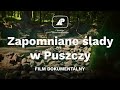 Zapomniane ślady w Puszczy |FILM DOKUMENTALNY|