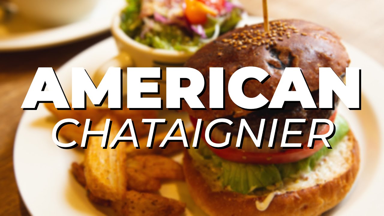 AMERICAN RESTAURANTS in Chataignier, LOUISIANA YouTube