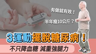 好的運動是降糖藥！超慢跑降血糖防心血管疾病，醫師示範如何跑？深蹲強腿力降血糖，加1器材，高齡肥胖、腿無力都能做。1條毛巾做伸展操，防肌肉萎縮。運動前記住2件事，防血糖太低｜胡乃文開講Dr.HU_233