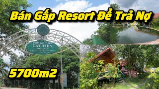 Chủ sanh bệnh vì đang gồng lãi Ngân hàng phải bán Resort ráp rừng sinh thái Nam Cát Tiên để trả nợ