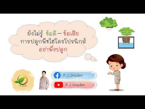 วีดีโอ: หลักสูตร 