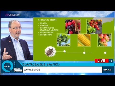 ფაროსანასთან ბრძოლა