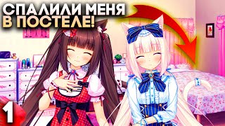 ИЗВРАЩЕННЫЕ КОШКИ ПРОЛЕЗЛИ КО МНЕ В СПАЛЬНЮ ► Nekopara Vol  1 Прохождение на русском ► Часть 1