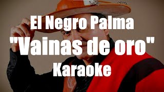 Video thumbnail of "Vainas de oro (chacarera) / El negro Palma"