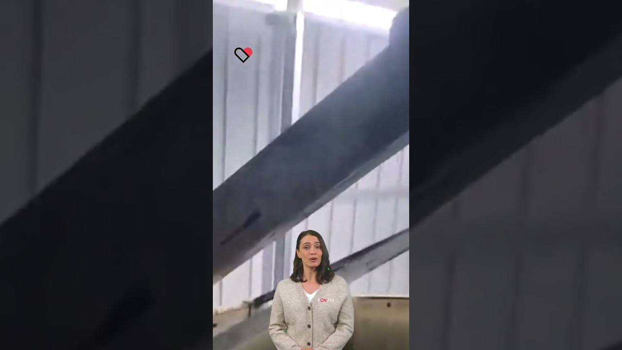 Top Grain Dryer Maintenance Tips for Peak Performance. 