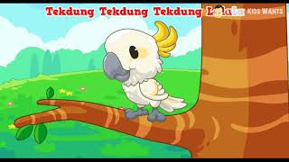 Burung Kakaktua - Lagu Anak TK Paud Kak Fandi screenshot 5