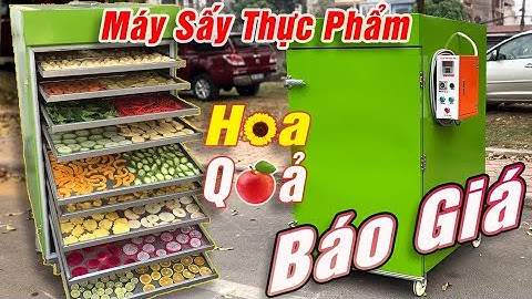 Máy Chế Biến Thực Phẩm Báo Giá Máy Sấy Thực Phẩm Inox Sấy Khô Dẻo Hoa Quả