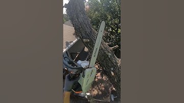 Arborist work #arborist #sendit #tree #climbing #stihl #chainsaw #pov