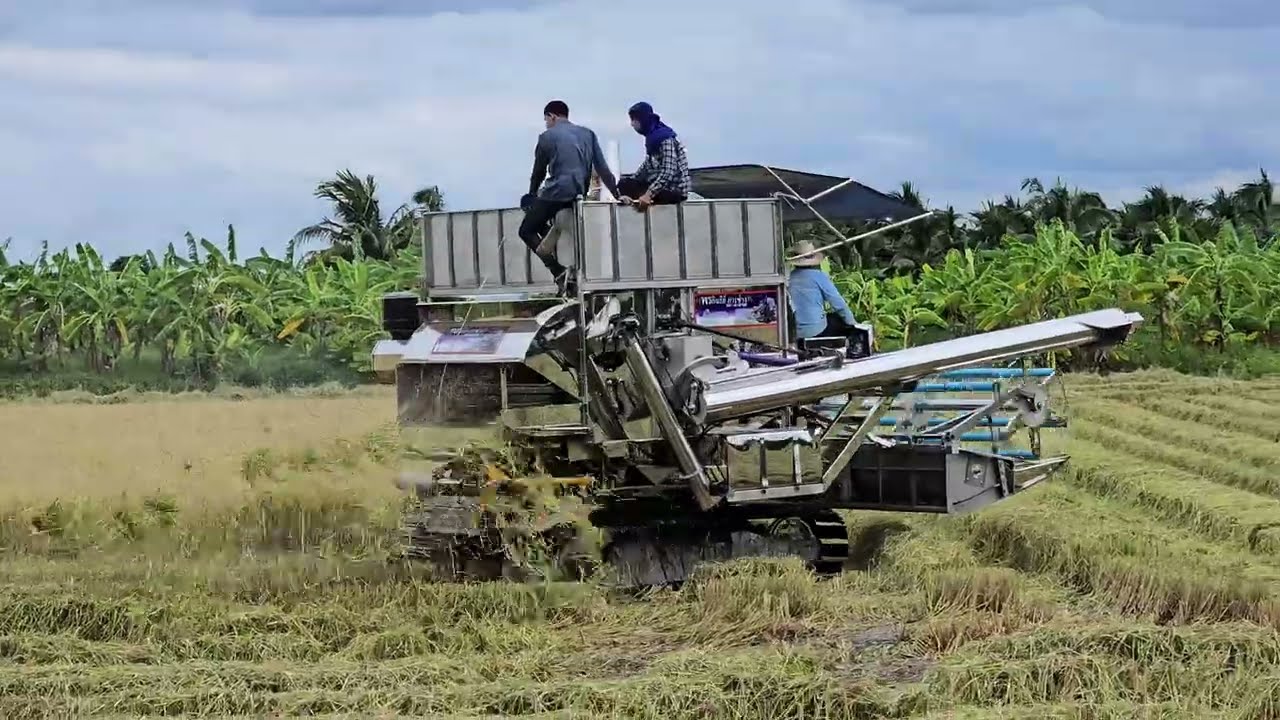 อู่มาทดสอบเอง รถเกี่ยวพรกินรี ช่วงล่างสแตลเลสทั้งคัน 18 กรกฎาคม 2025