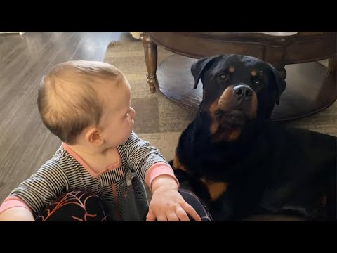 Dog Starts Howling To Stop Baby From Crying