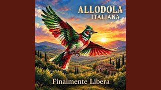 I folli