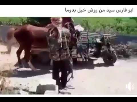 اخر الهياط ابو فارس سيد من روض خيل في دوما