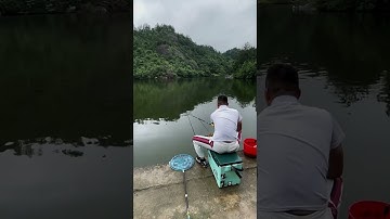 Câu cá Châu Á ngon nhất 🐟 | Kỹ thuật câu cá tuyệt vời 🐟 #shorts