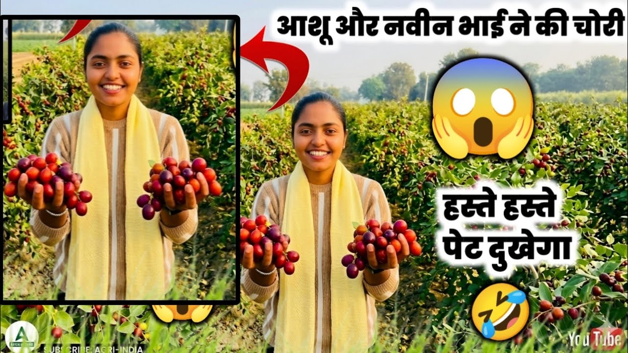 खेतों पर खाए इतने सारे वेर पूरा वीडियो देखे 🥰#dikshashastri #vlog 