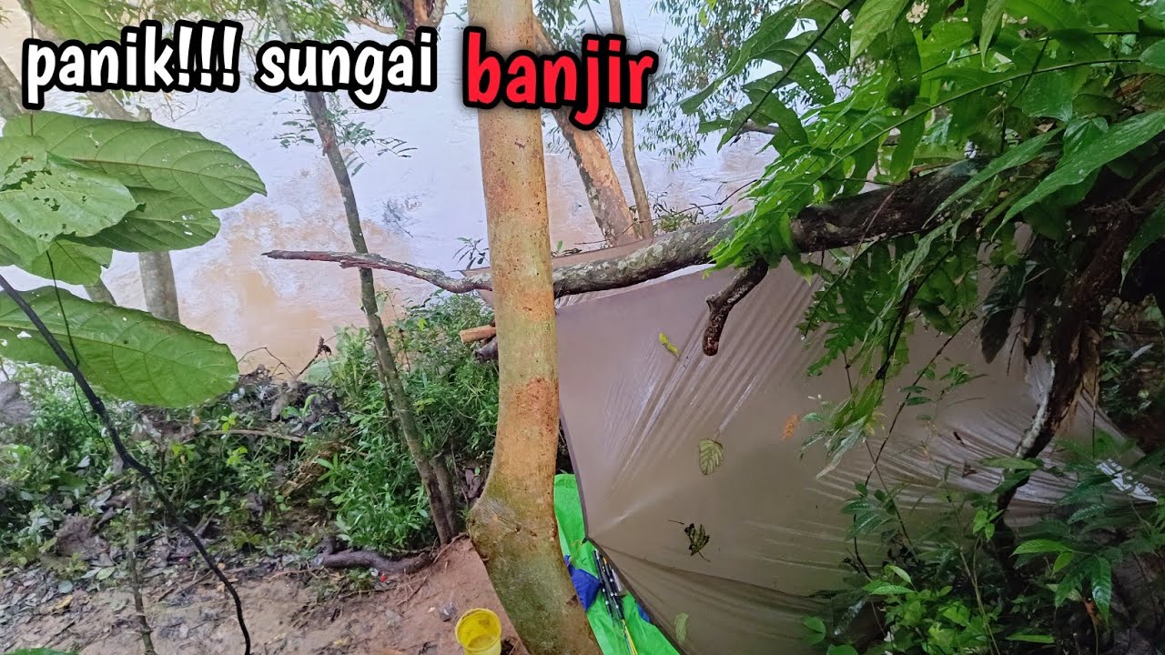 Camp fishing panen baung raja, hujan lebat sungai banjir sampai flysheet bocor 