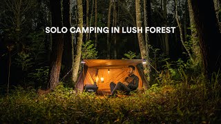 Solo Camping and Relaxing in the Lush Forest, Cooking Dinner, ASMR