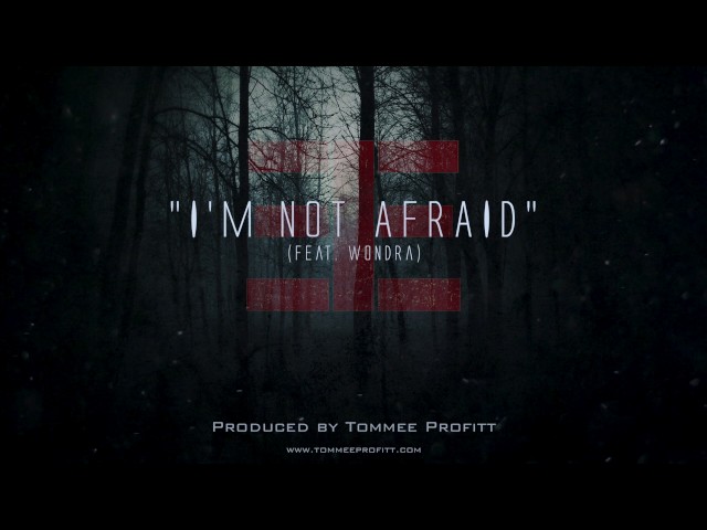 I'm Not Afraid (feat. Wondra) - Tommee Profitt class=