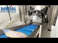 Yellow Bean packing machine :500g ,Pillow bag in PE single layer bag