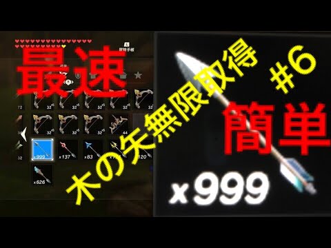 ゼルダの伝説 ブレスオブザワイルド 木の矢無限取得 6 裏技 Youtube