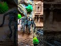 Атака паука-птицееда Lasiodora Parahybana #tarantula #spider #паукптицеед #lasiodoraparahybana #bite