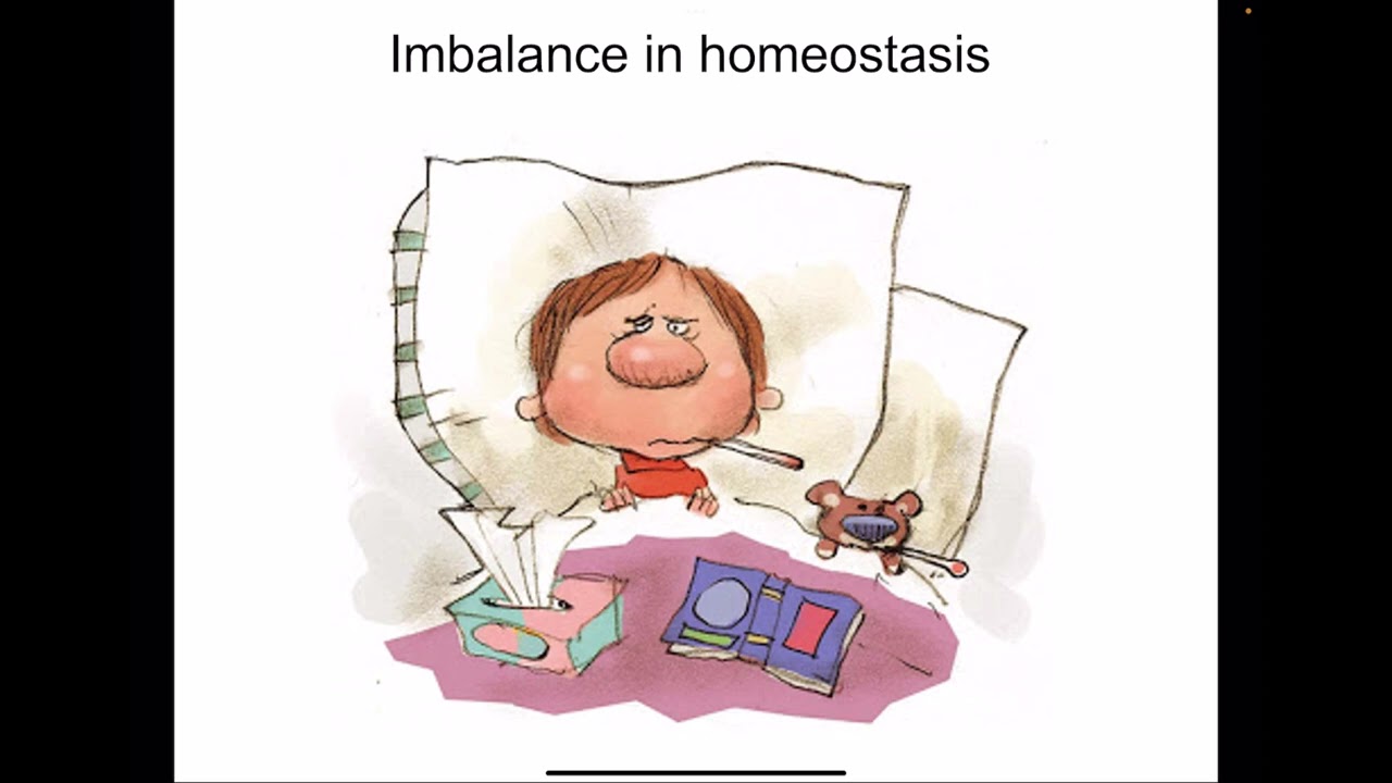 Homeostasis - negative and positive feedback mechanism physiology mbbs 1st year