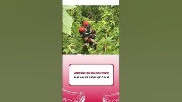 Video cảnh sát giải cứu 2 người đi xe máy rơi xuống vực ở Ba Vì