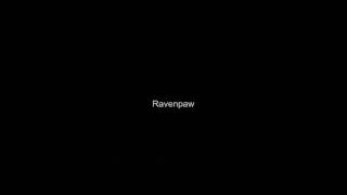 Dustpaw,ravenpaw and female kit audition