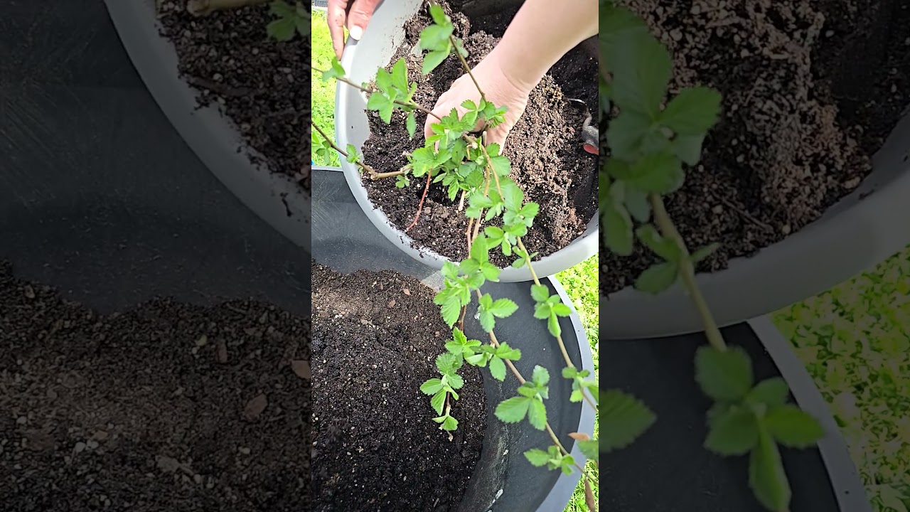 that time of the year 