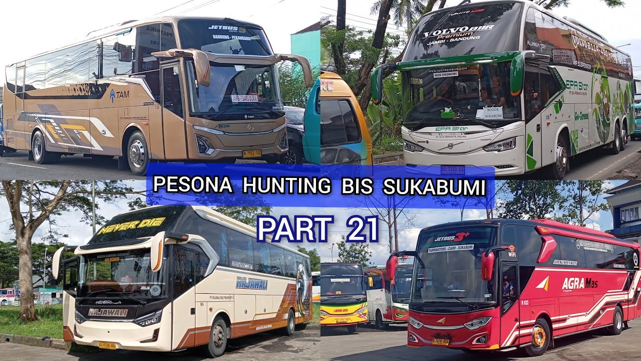 Pesona Hunting Bis Sukabumi Part 21