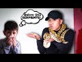 Podría tener un NIÑO una SERPIENTE como MASCOTA? 👦🏻🐍 | IGUANO Vlogs