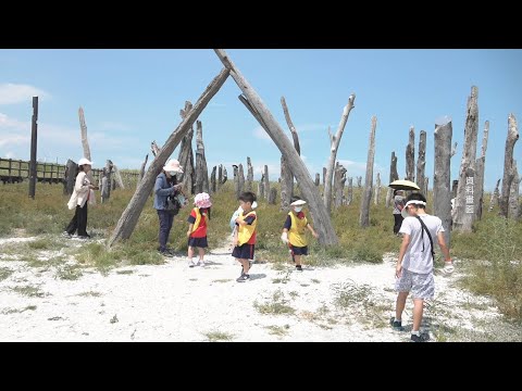 彰化福寶濕地尋寶去 海洋生態體驗之旅 - 彰化旅遊 - 新唐人太電視台