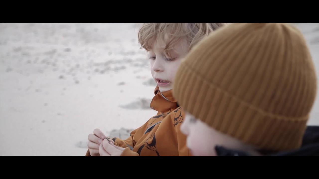 Enhörnings - Fårö - Norsta Auren