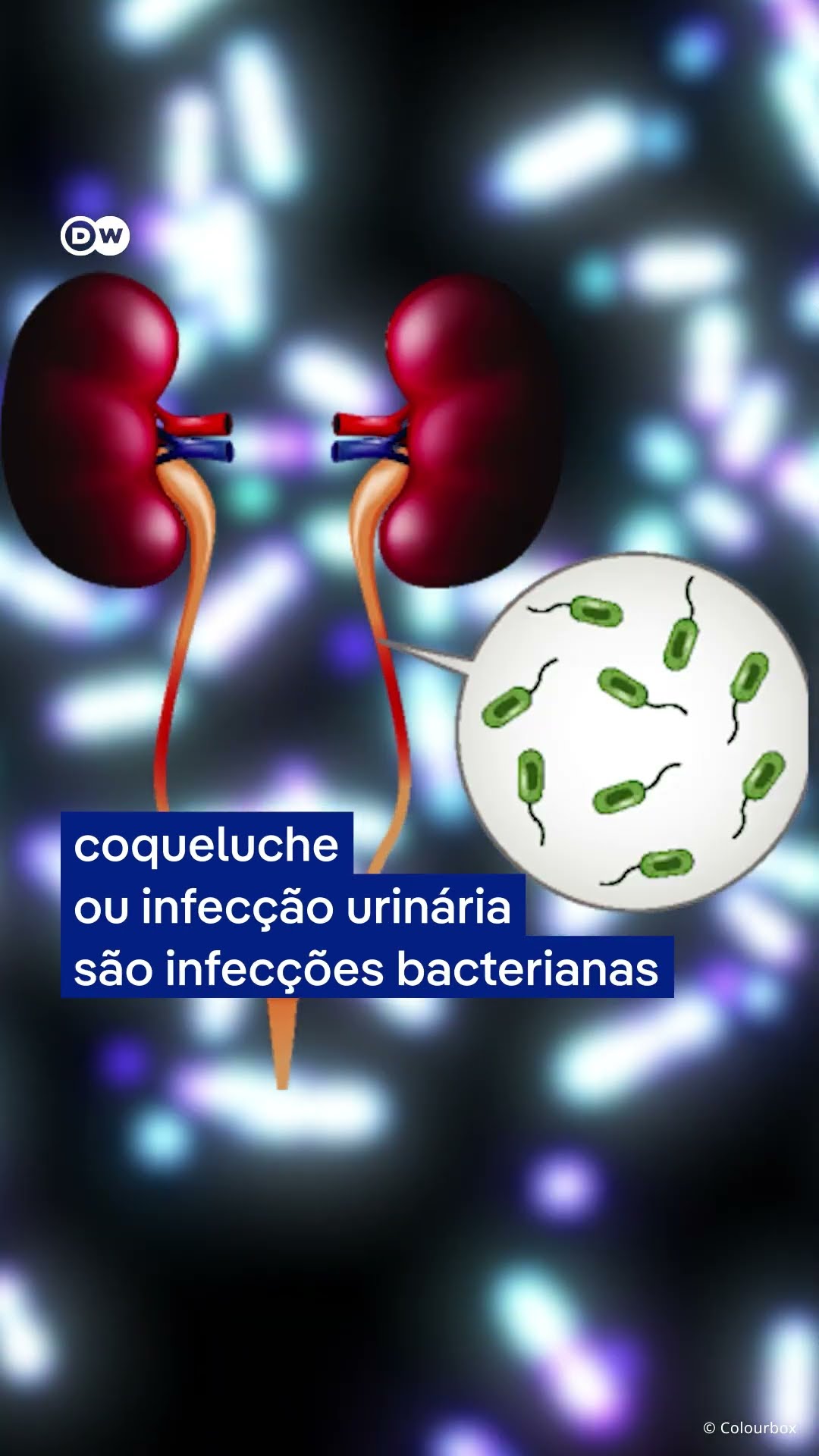Quando tomar antibióticos e os riscos do uso inadequado